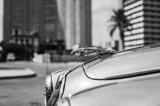 Kazino Golden Reels Android/iOS Lietotne